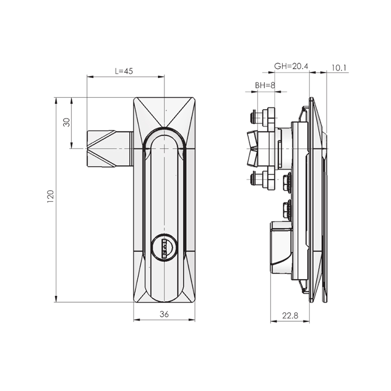 MS861-3 300N Maximum Static Load Flat Door Locks