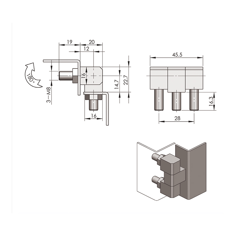 CL206-3S Carbon Steel Hinge Gasket External Hinges