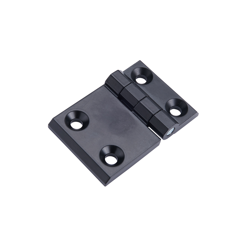 CL233-2-2 Electrolysis or Polishing Stainless Steel Hinge and Pin